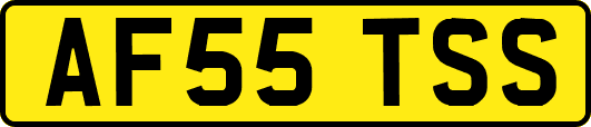 AF55TSS