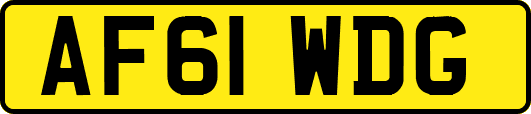 AF61WDG