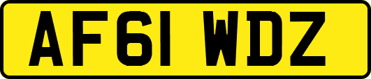 AF61WDZ