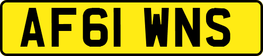 AF61WNS