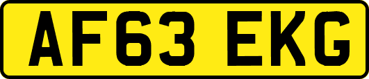 AF63EKG