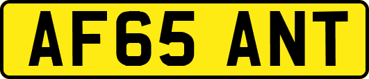 AF65ANT