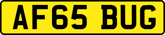 AF65BUG