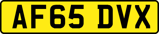 AF65DVX