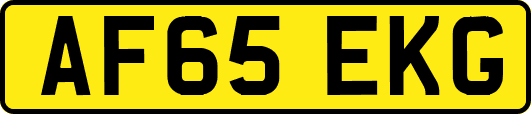 AF65EKG