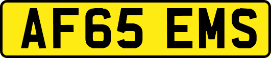 AF65EMS