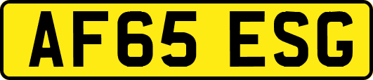 AF65ESG