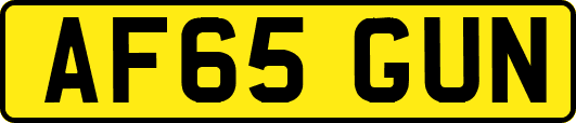 AF65GUN