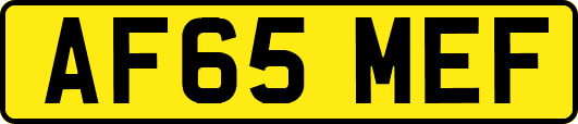 AF65MEF
