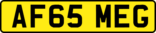 AF65MEG