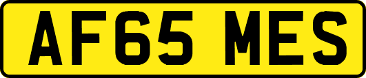 AF65MES