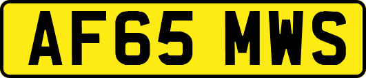 AF65MWS