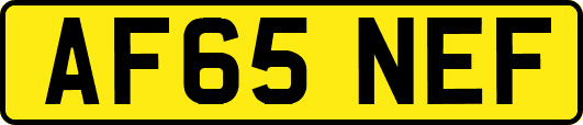 AF65NEF