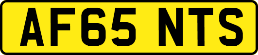 AF65NTS