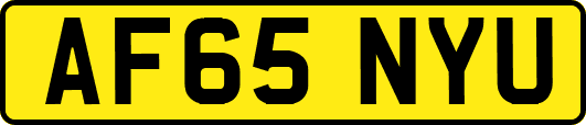 AF65NYU