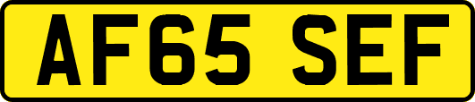 AF65SEF