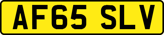 AF65SLV