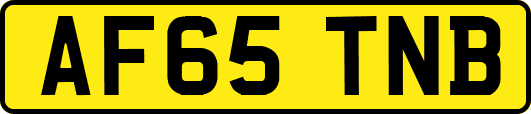 AF65TNB