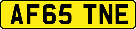 AF65TNE