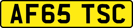 AF65TSC