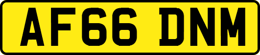 AF66DNM