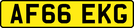 AF66EKG