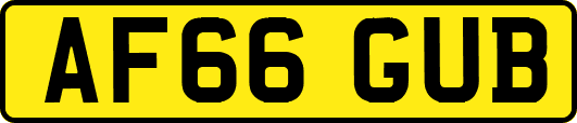 AF66GUB