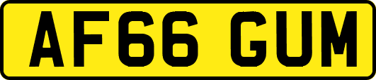 AF66GUM