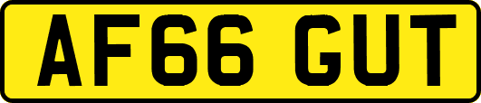 AF66GUT