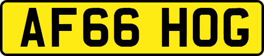 AF66HOG