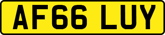 AF66LUY