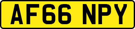 AF66NPY