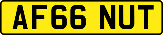 AF66NUT