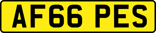 AF66PES