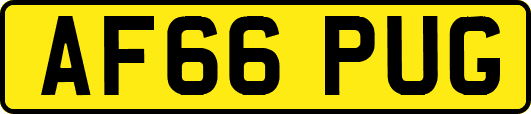 AF66PUG