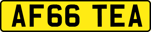 AF66TEA