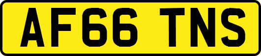 AF66TNS