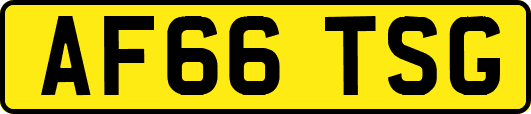 AF66TSG