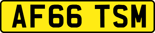 AF66TSM