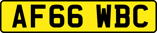 AF66WBC