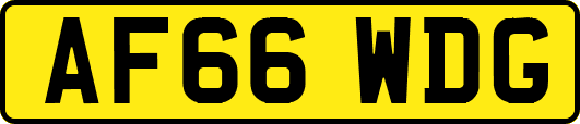 AF66WDG