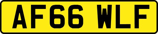 AF66WLF