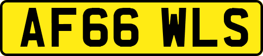 AF66WLS