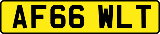 AF66WLT