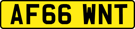 AF66WNT