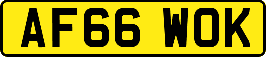 AF66WOK