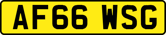 AF66WSG