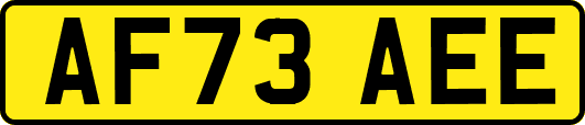 AF73AEE