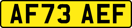 AF73AEF