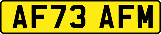 AF73AFM
